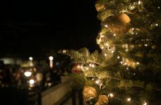 Share the Light Christmas Tree Lighting - Sterling College Share the Light Christmas Tree Lighting - Sterling College