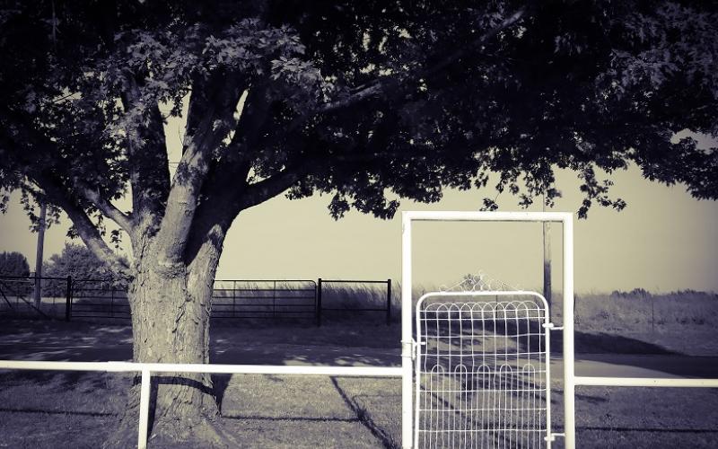 Honorable Mention in Landscape - Ariel Phillips