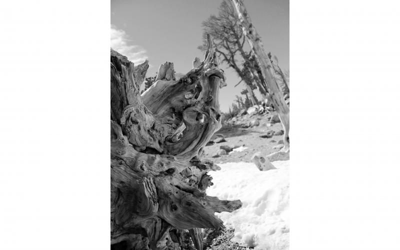 Overall Best in Show and Winner of Fine Art - "St. Mary's Glacier" by Ali Levens