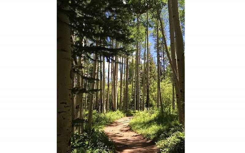 Honorable Mention in Landscape - "The Path to Adventure" by Jennifer Selaya