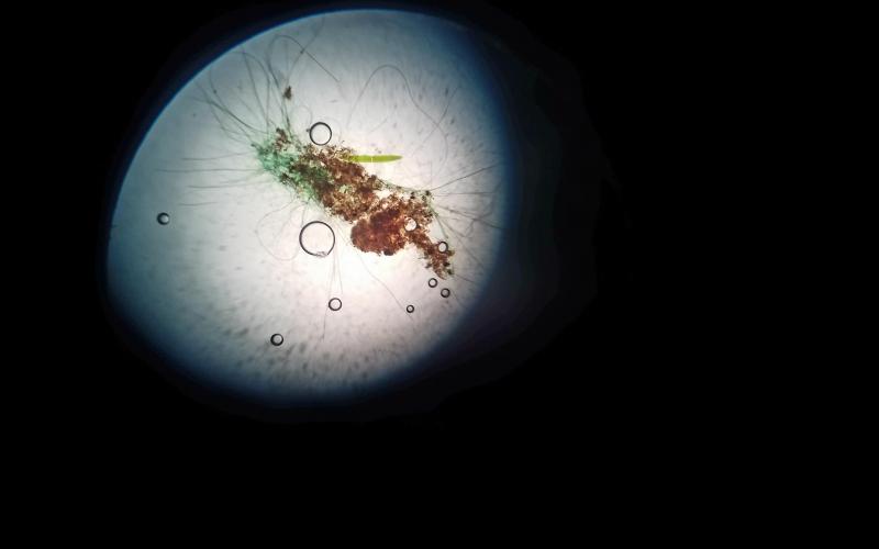 Honorable Mention in Alternative - "What Lurks Beneath" by Jillian Lewin